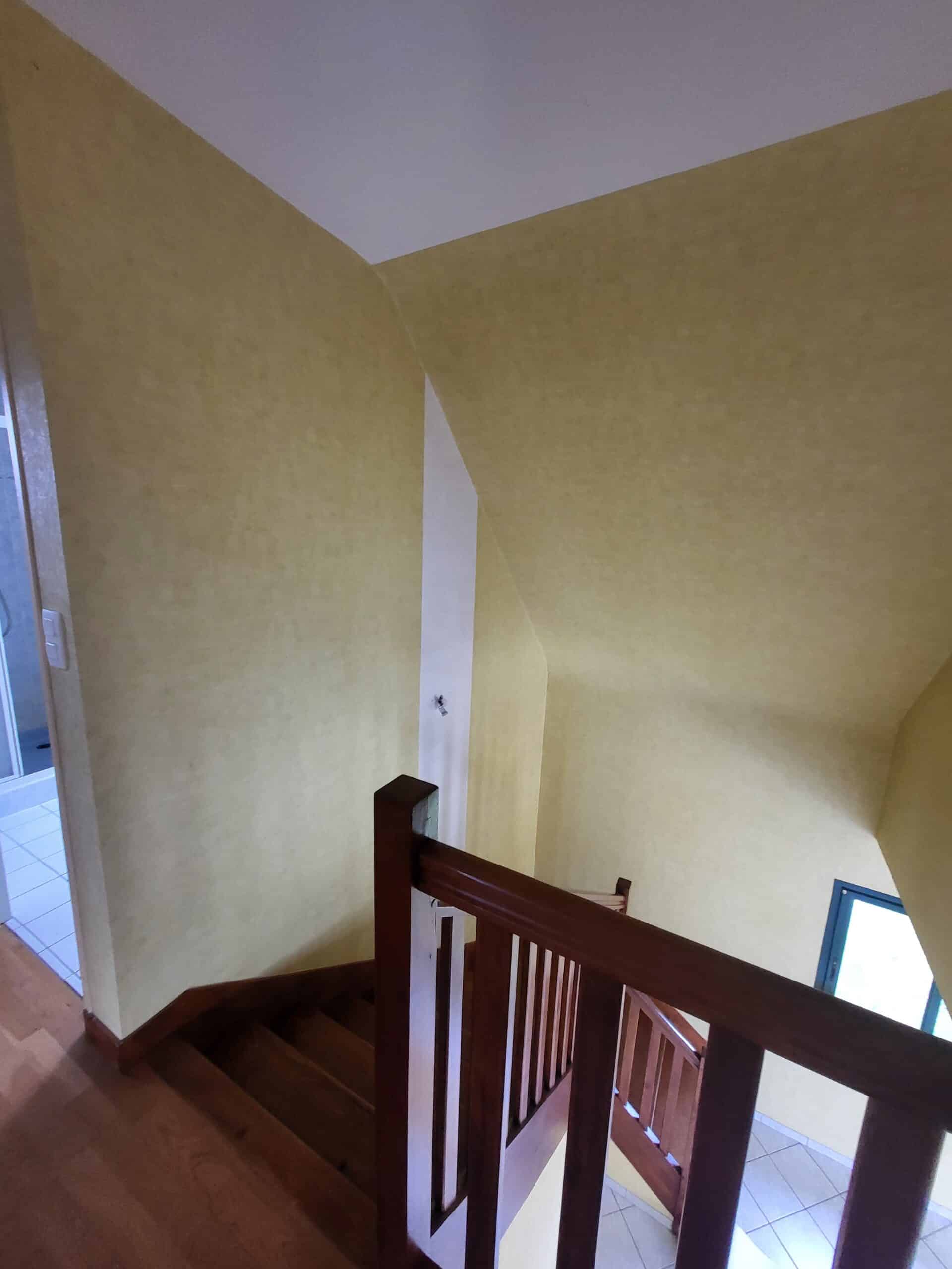 Peinture plafond bois